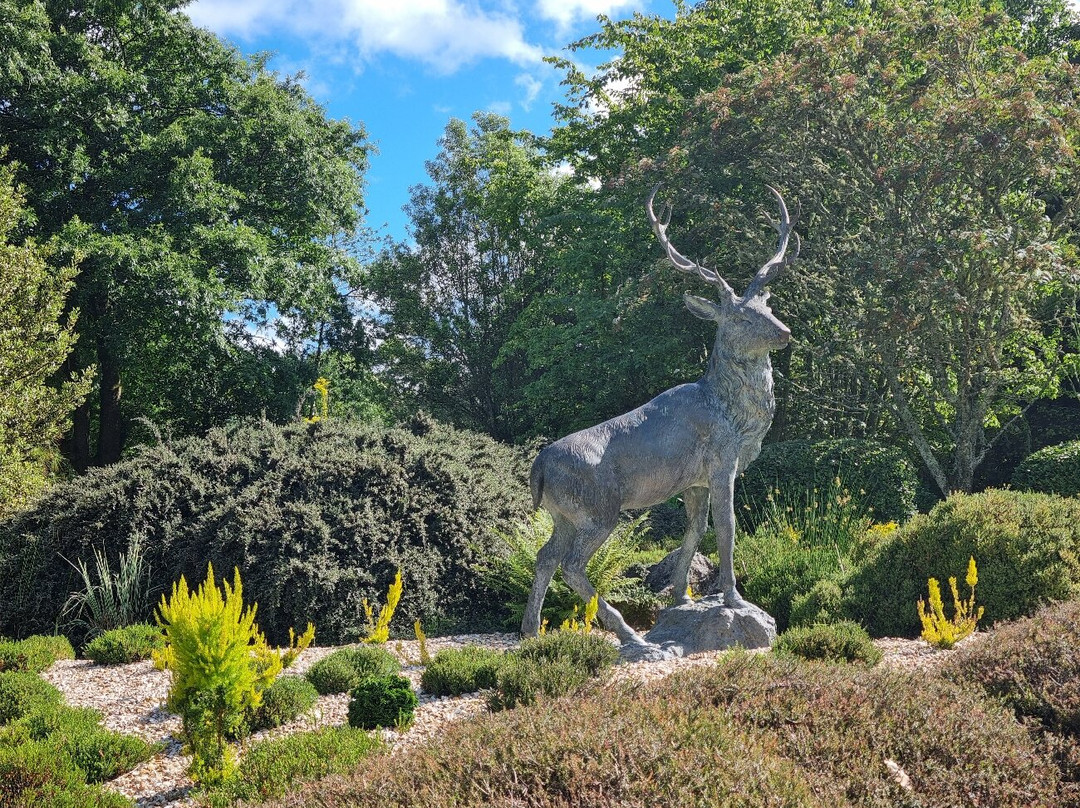 Pinetum Gardens主图