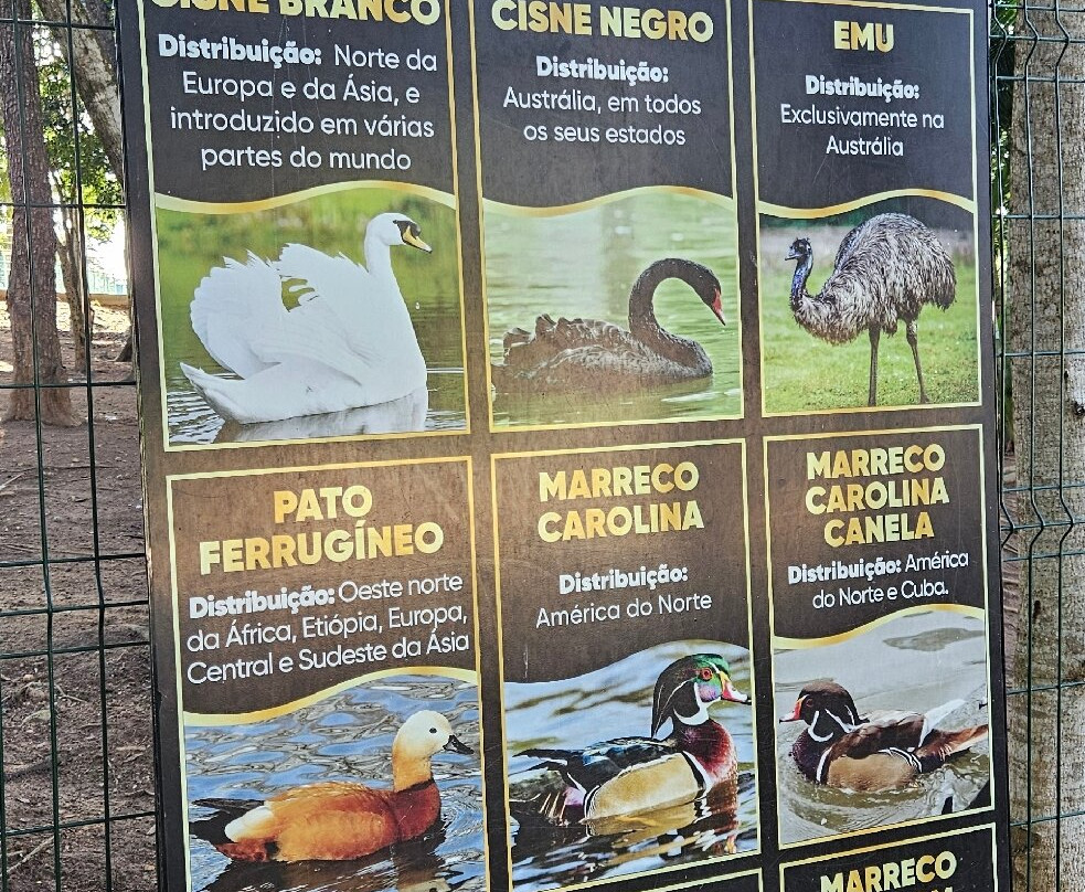 Botanico das asas-Araruama必去景点