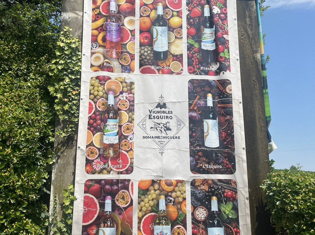 Domaine de La Higuere , Vignobles Esquiro-Mirepoix必去景点