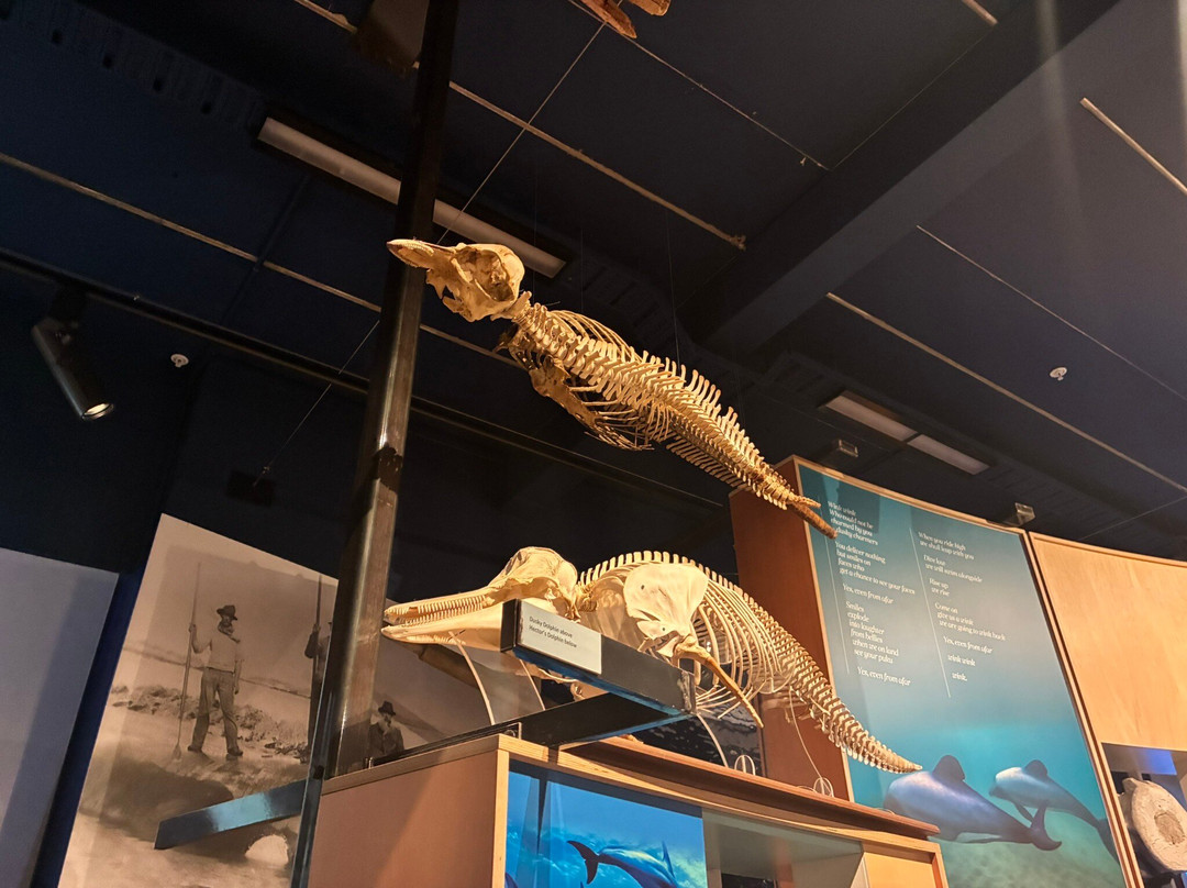Kaikoura Museum-Kaikoura必去景点