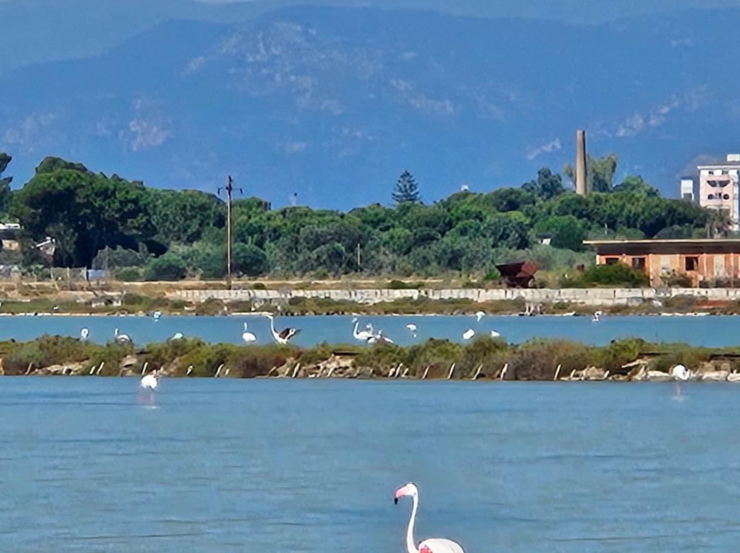 Parco Naturale Molentargius-Saline-卡利亚里省必去景点