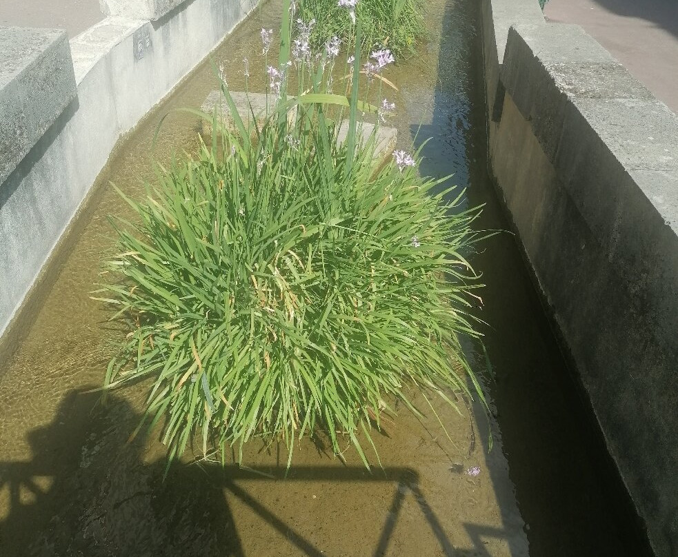 Rue Eau de Robec-鲁昂必去景点