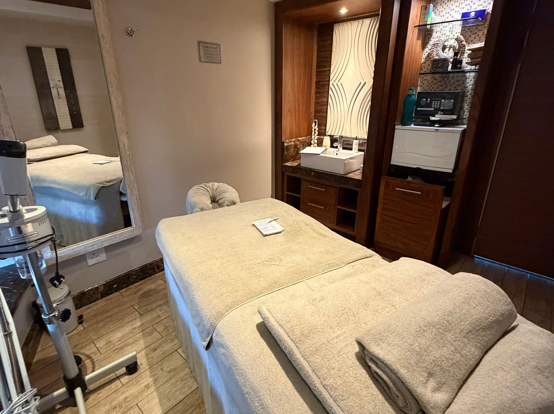 Camelot Spa Intercontinental Johannesburg O.r. Tambo Airport-约翰内斯堡必去景点