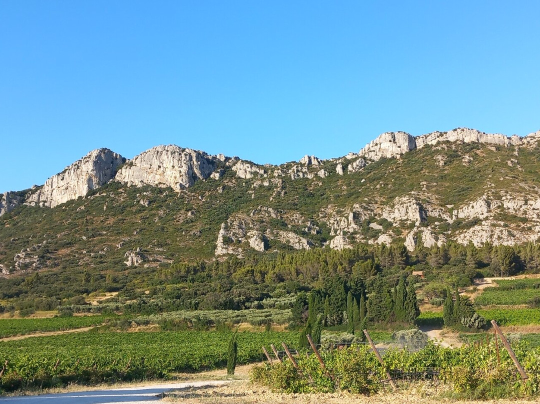 Domaine Oddo Vallon Des Glauges-Eyguieres必去景点
