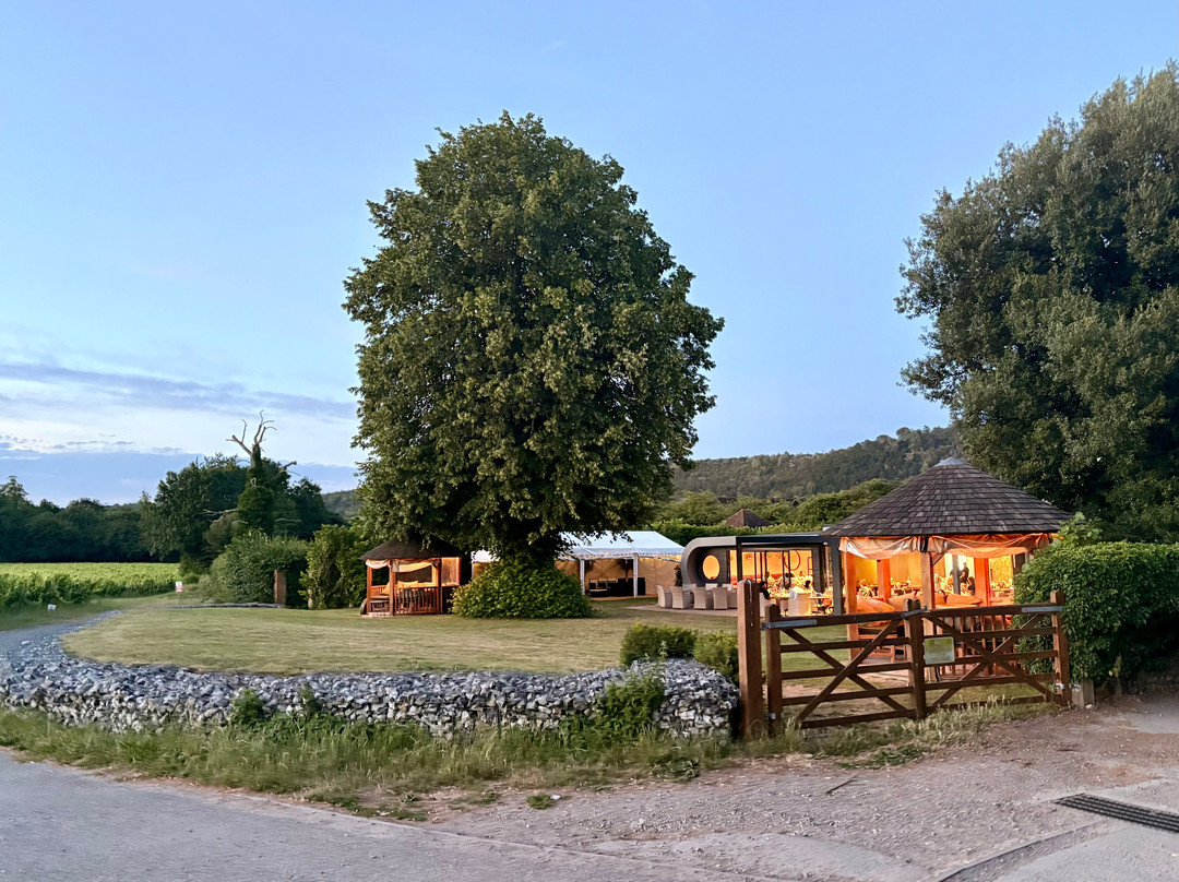 Denbies Wine Estate Ltd-多肯必去景点