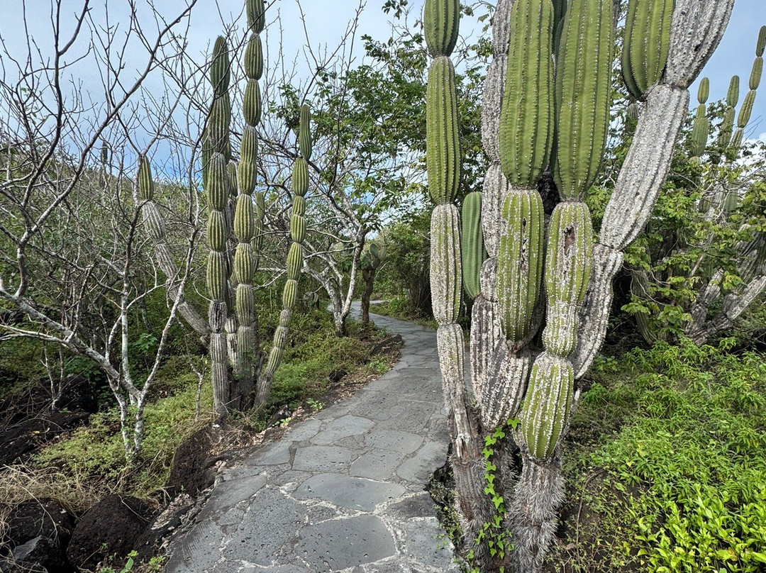 Cerro Tijeretas-Puerto Baquerizo Moreno必去景点
