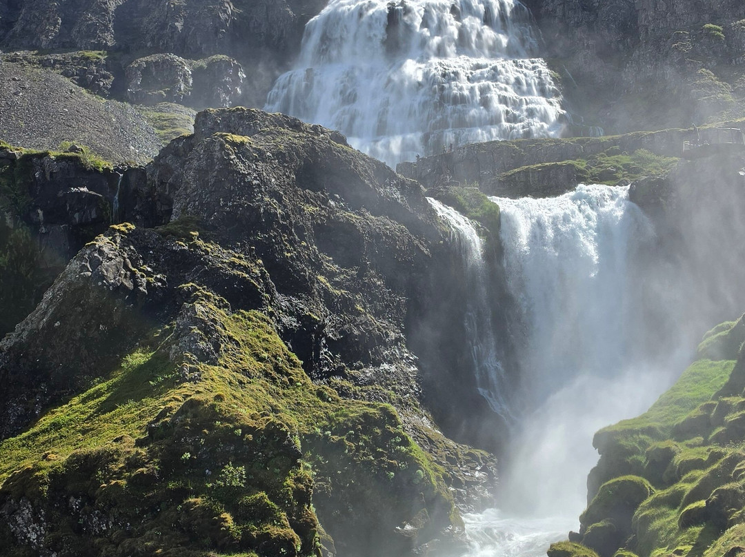 Activity Iceland-雷克雅未克必去景点