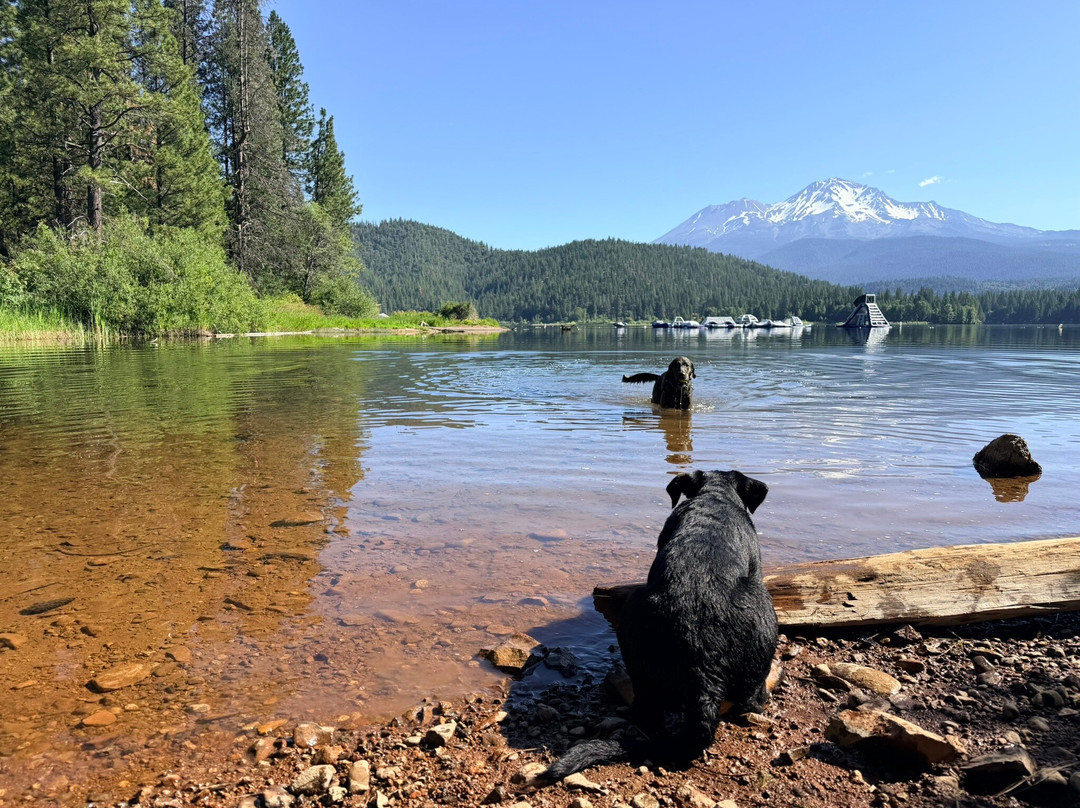 Lake Siskiyou Camp - Resort
