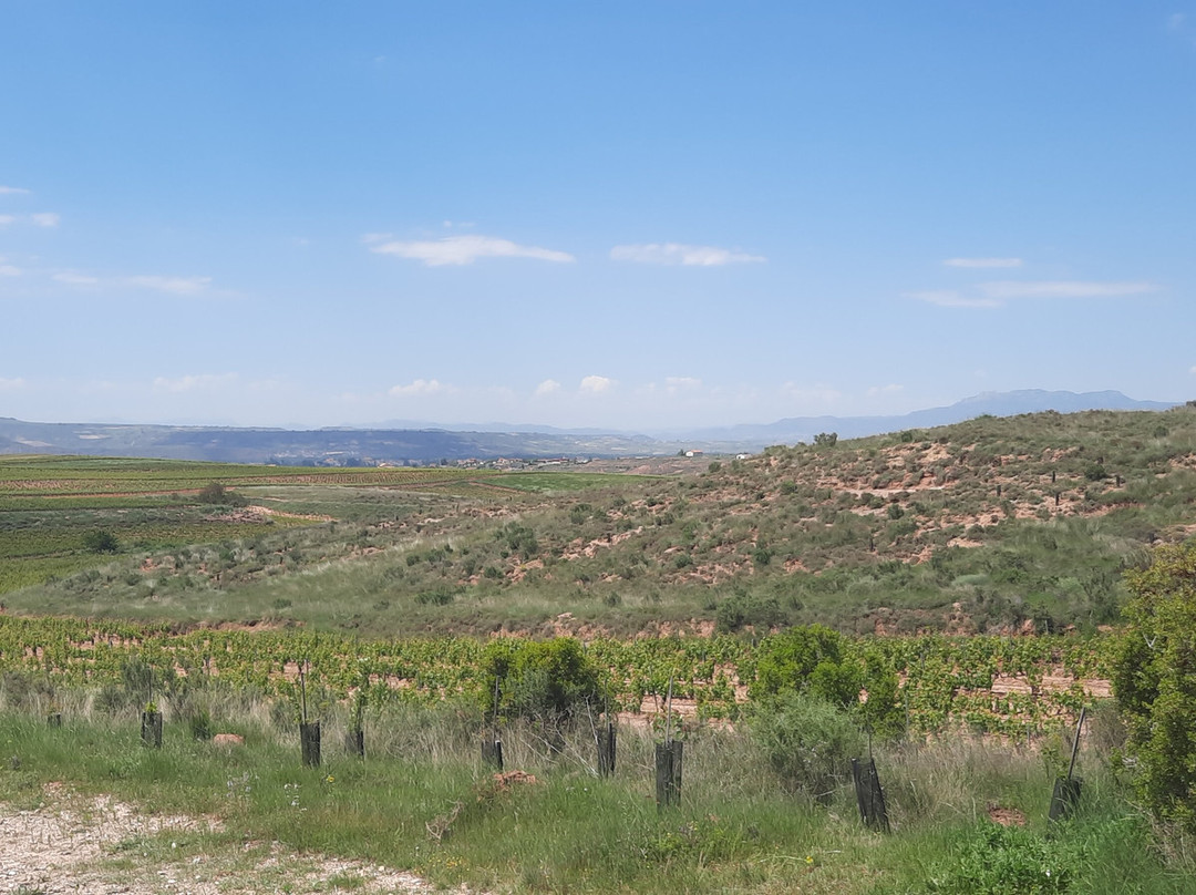 Tubuencamino-圣地亚哥德孔波斯特拉必去景点