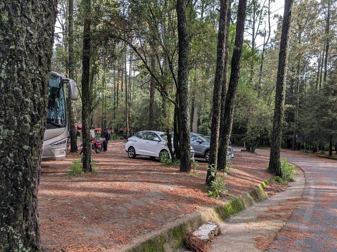 La Malinche National Park-Huamantla必去景点