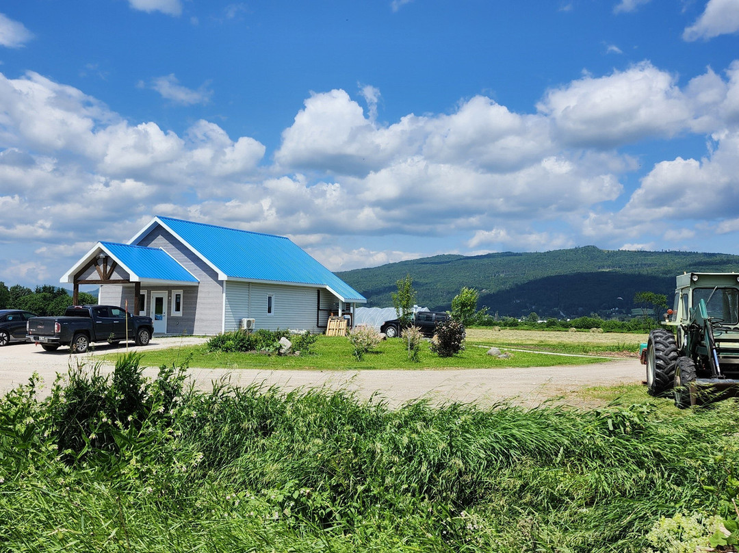 Ferme L'Oiseau Bleu-Baie-St-Paul必去景点