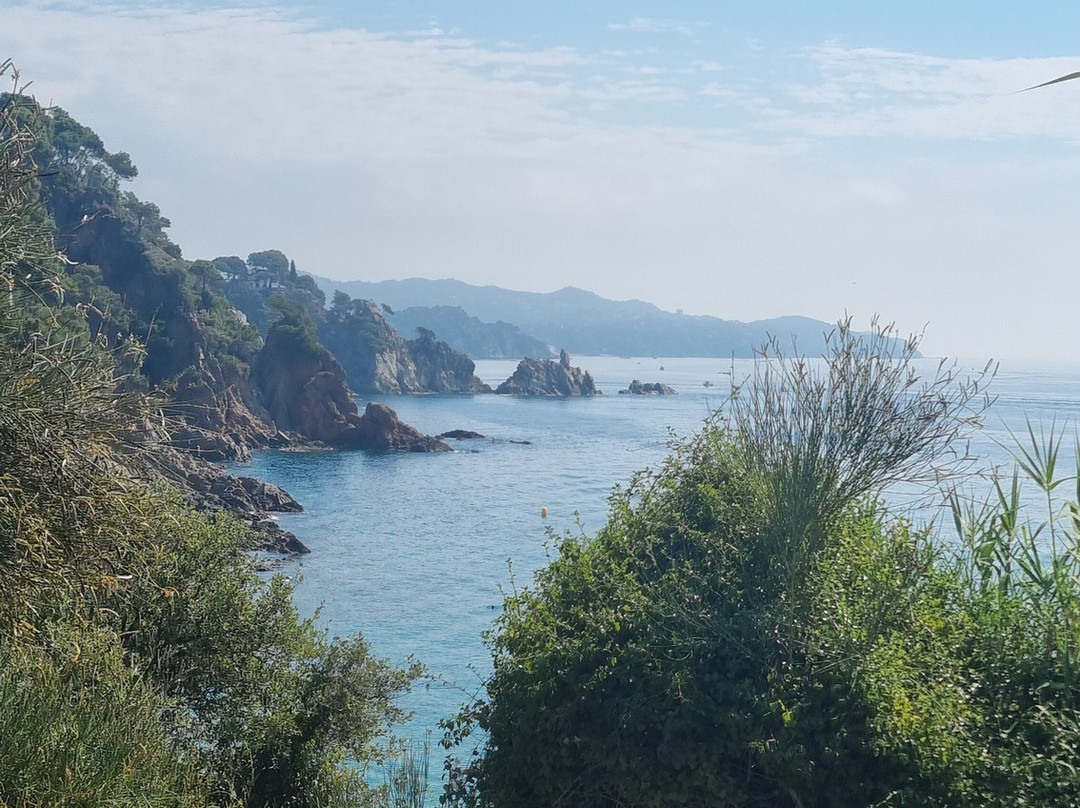 Cala de Sant Francesc-布拉内斯必去景点