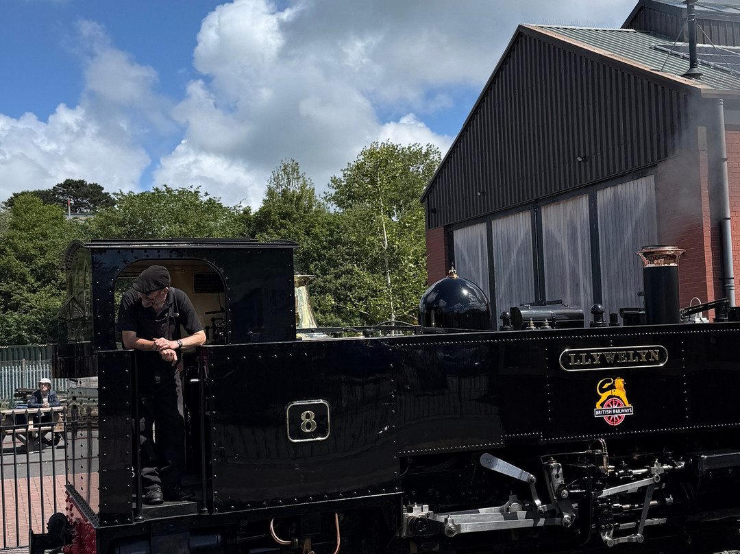 Vale of Rheidol Railway-阿伯里斯特威斯必去景点