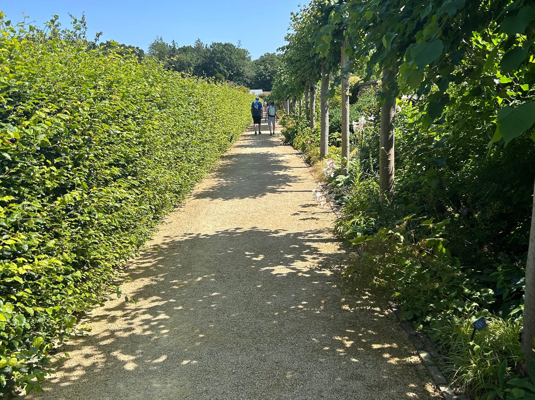 Scampston Walled Garden-马尔顿必去景点