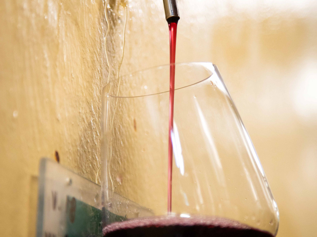 Cantina Castello di Torre in Pietra-Torrimpietra必去景点