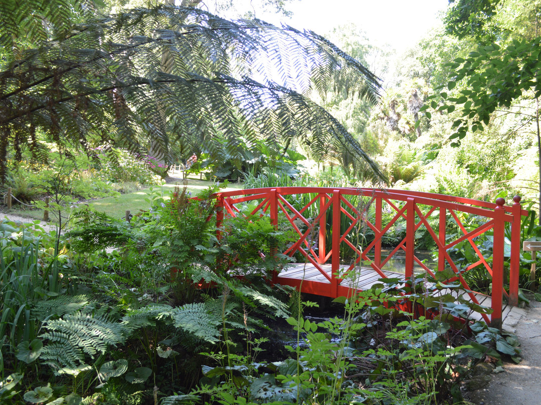 Abbotsbury Subtropical Gardens-Abbotsbury必去景点