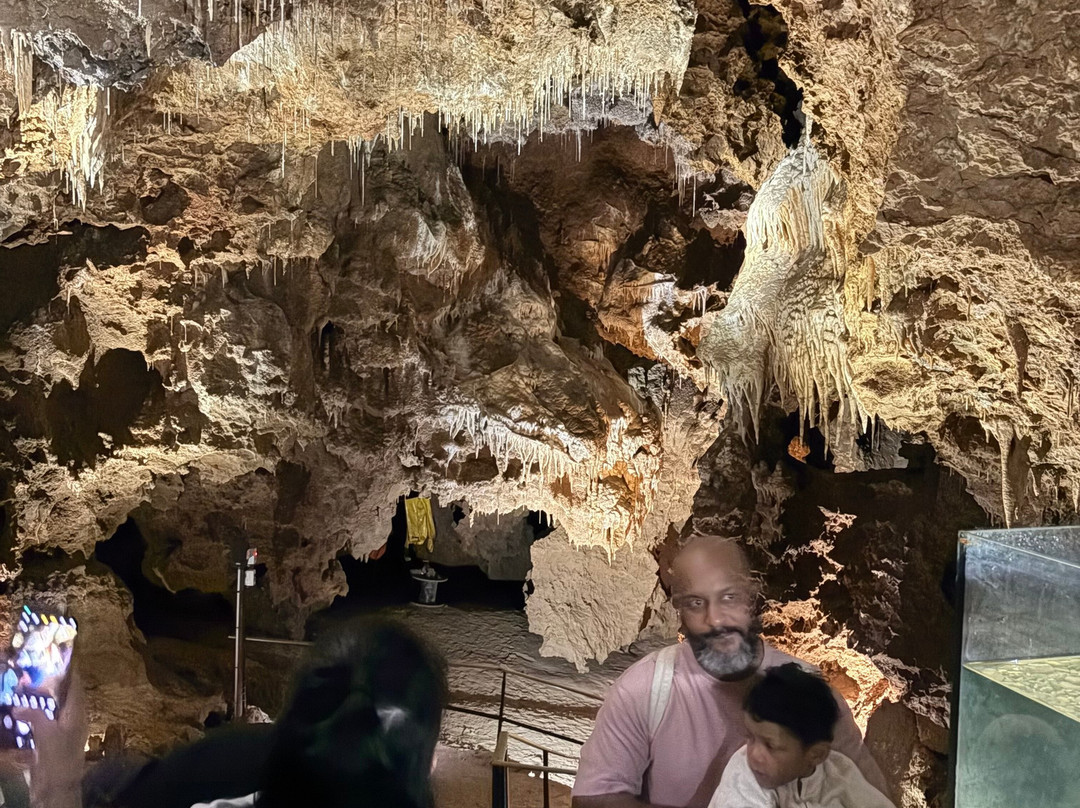 Grotte de Clamouse-Saint-Jean-de-Fos必去景点