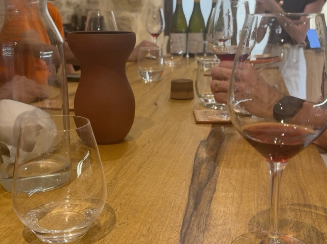 Provence and Wine-阿维尼翁必去景点
