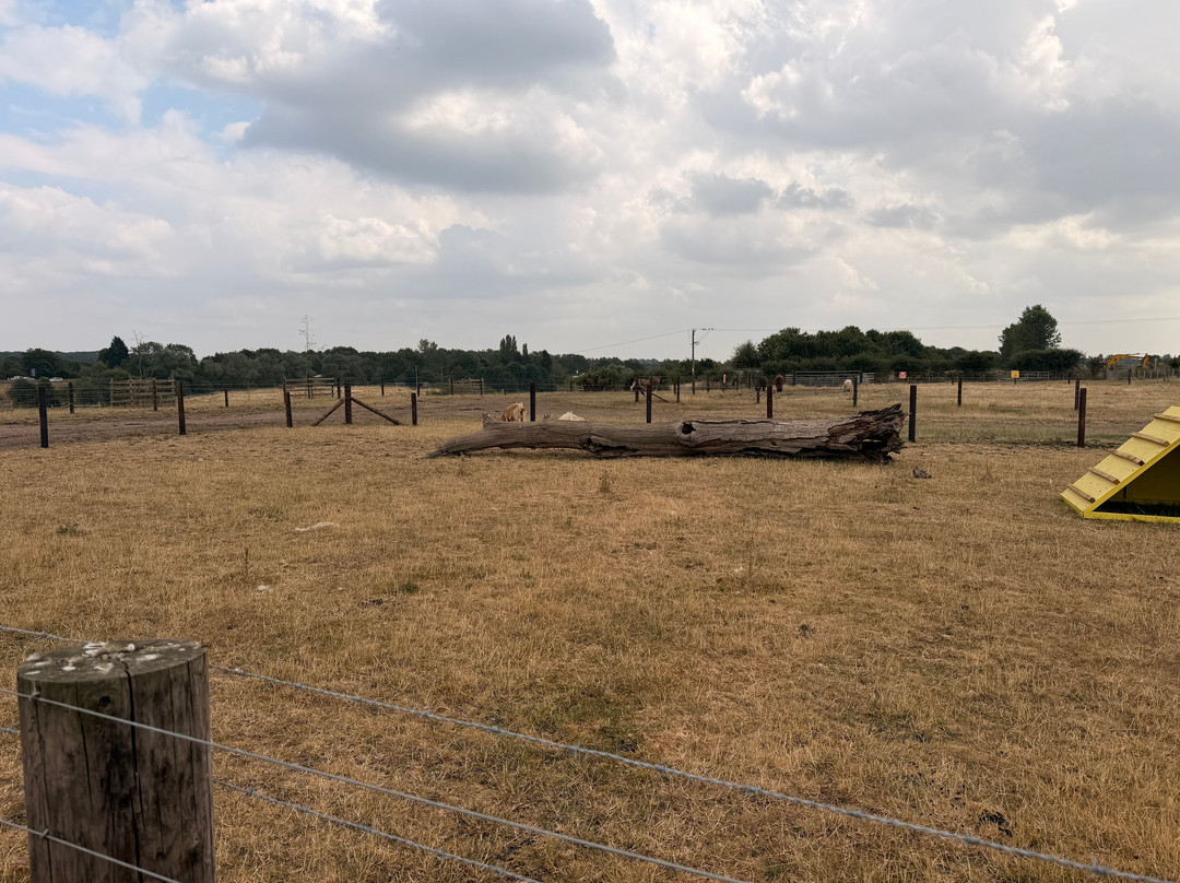 Lower Drayton Farm-Penkridge必去景点