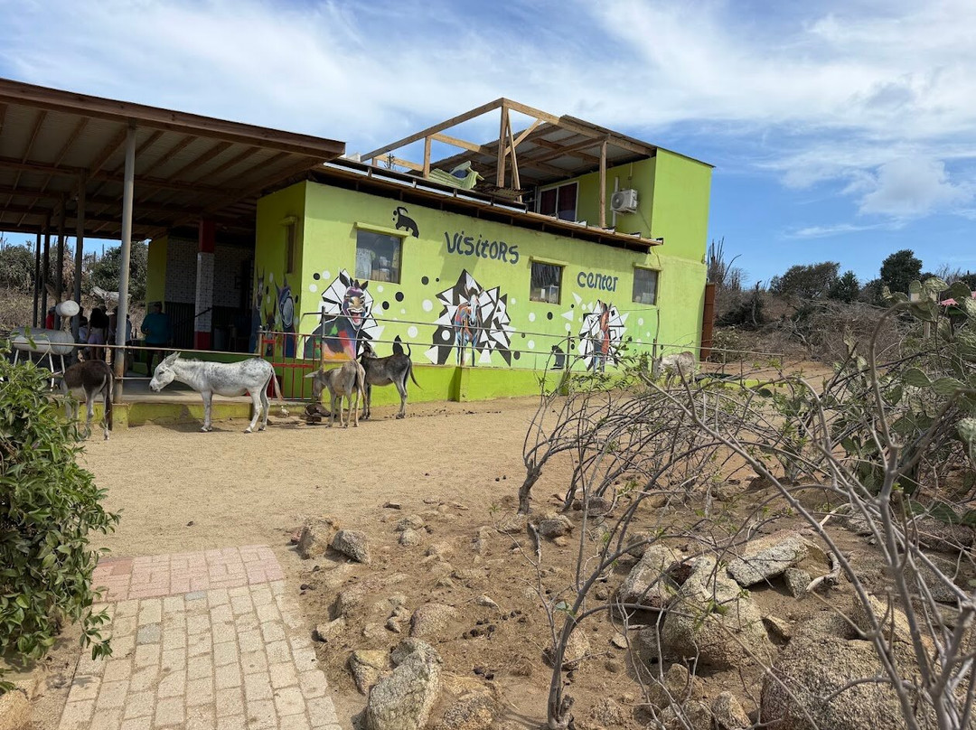 Donkey Sanctuary Aruba-Santa Cruz必去景点