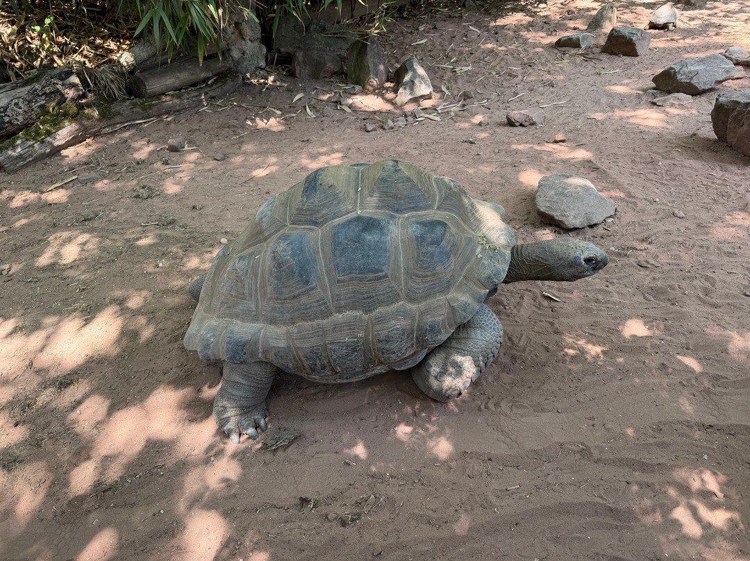 Parc Zoologique & Botanique de Mulhouse-米卢斯必去景点
