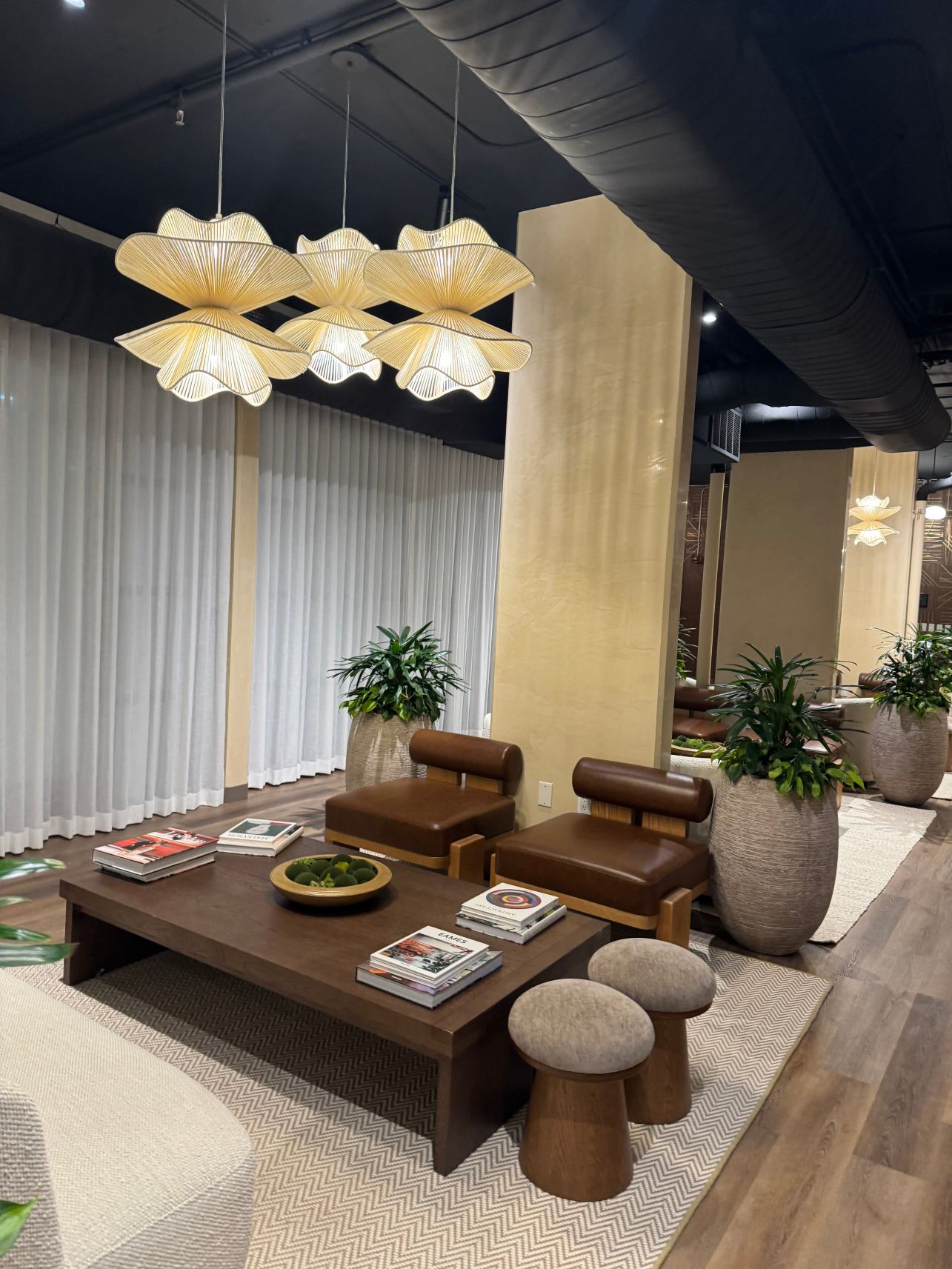 NYLO达拉斯普莱诺酒店，希尔顿启缤精选-旅行者