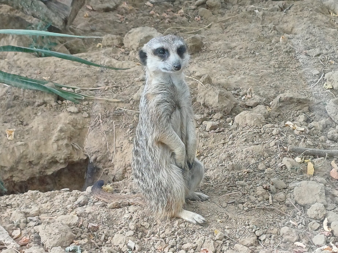 Tierpark und Fossilium Bochum-波鸿必去景点