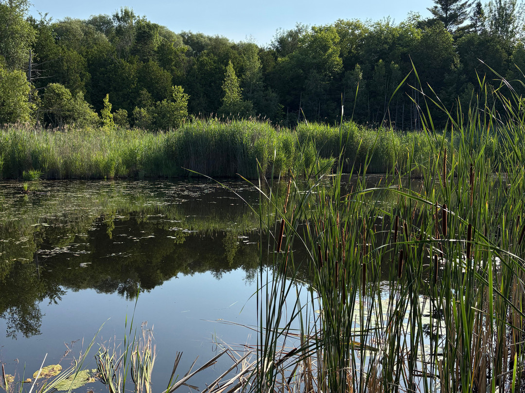 Marais de la Riviere aux Cerises-梅戈格必去景点