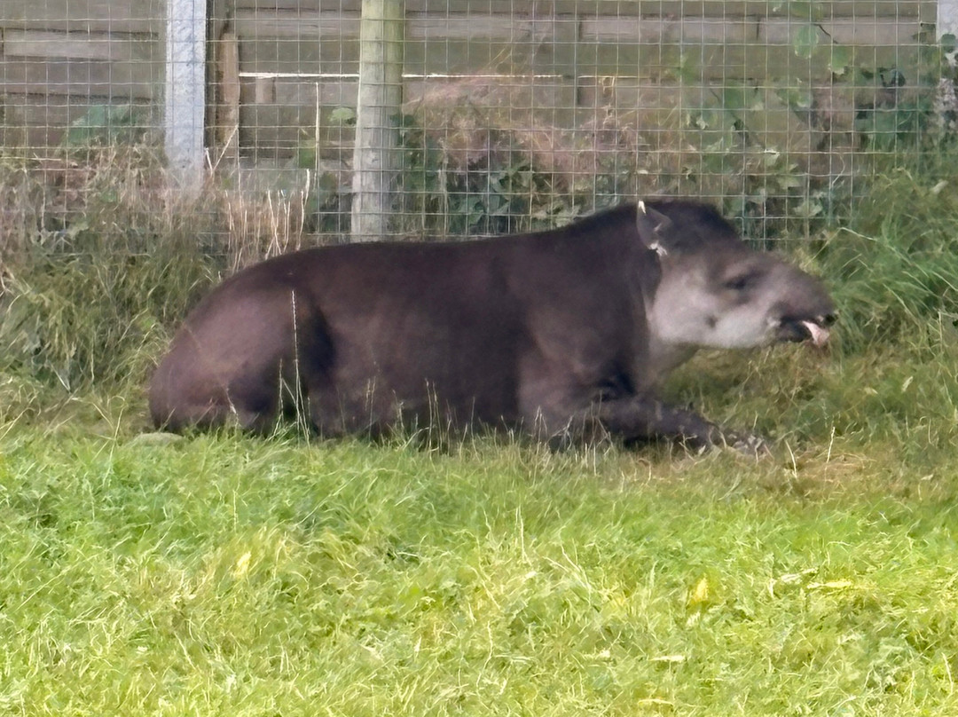 The Lake District Wildlife Park-Bassenthwaite必去景点