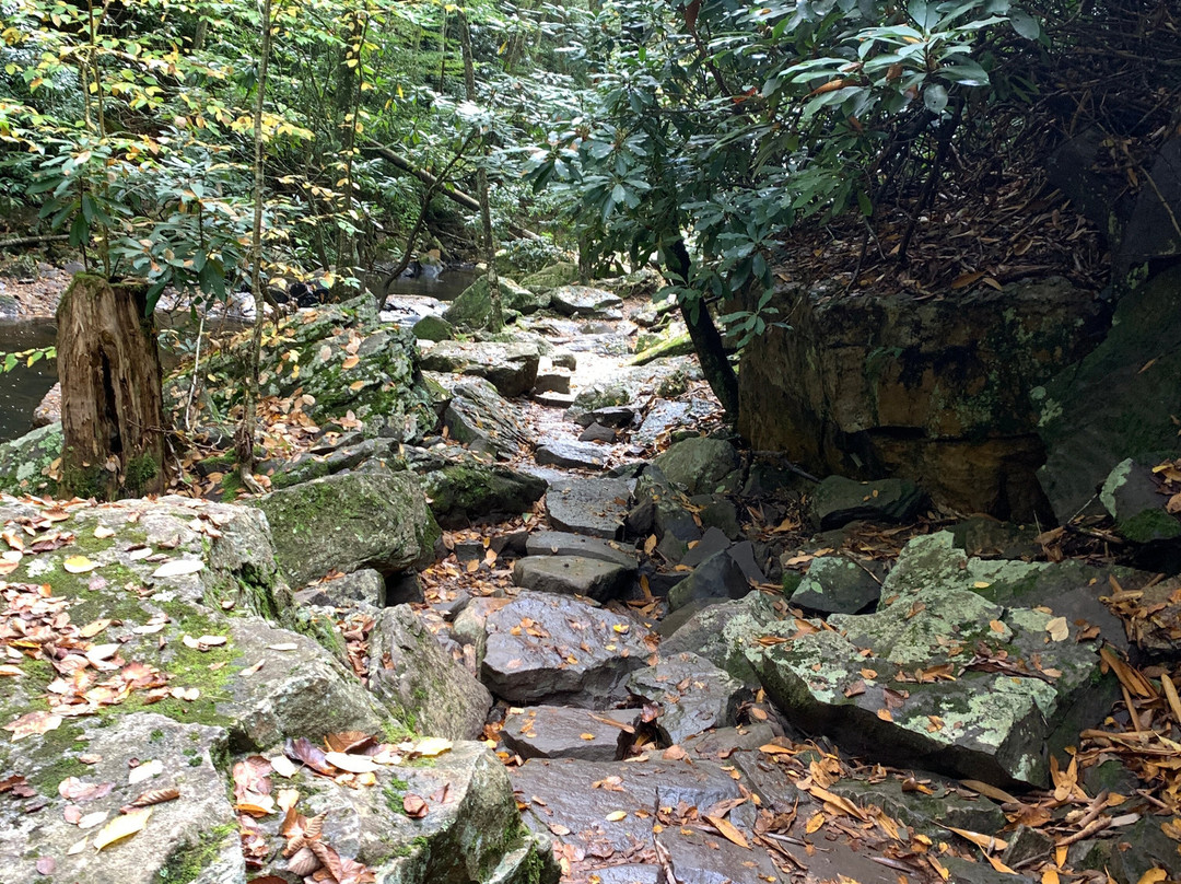 Cascade Falls-Pembroke必去景点