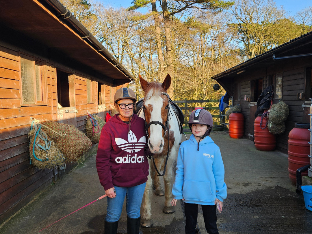 Parkers Riding School-Cockermouth必去景点