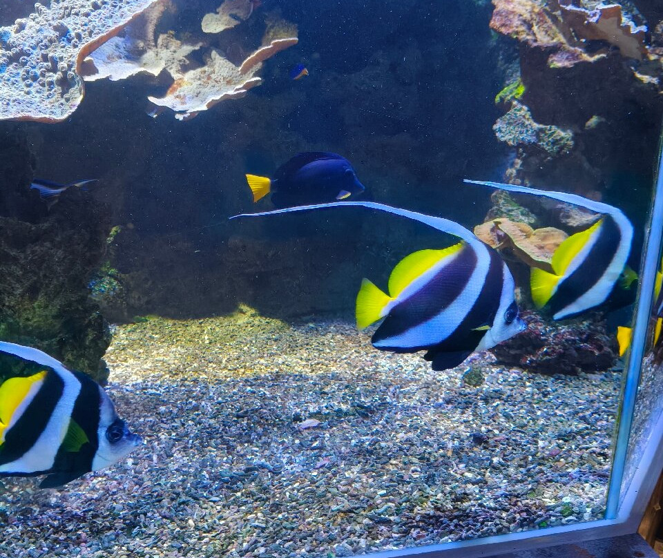 Aquarium du Limousin-利摩日必去景点
