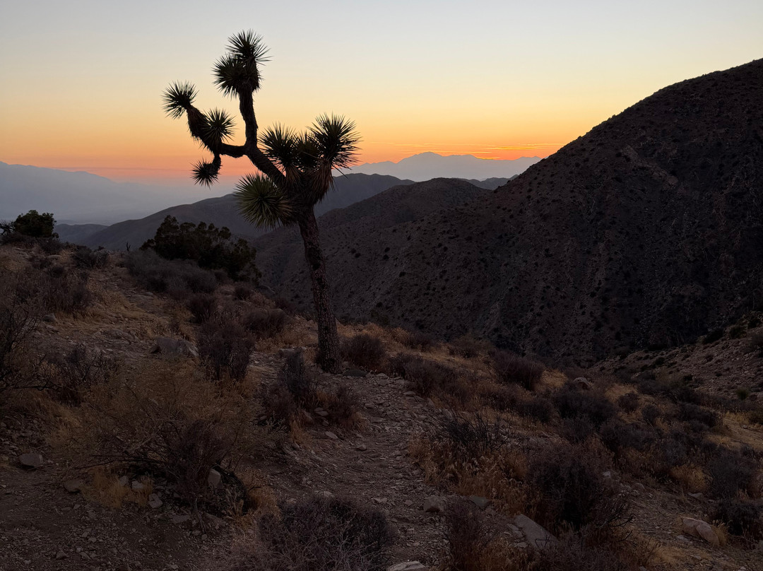 Joshua Tree National Park-约书亚树必去景点