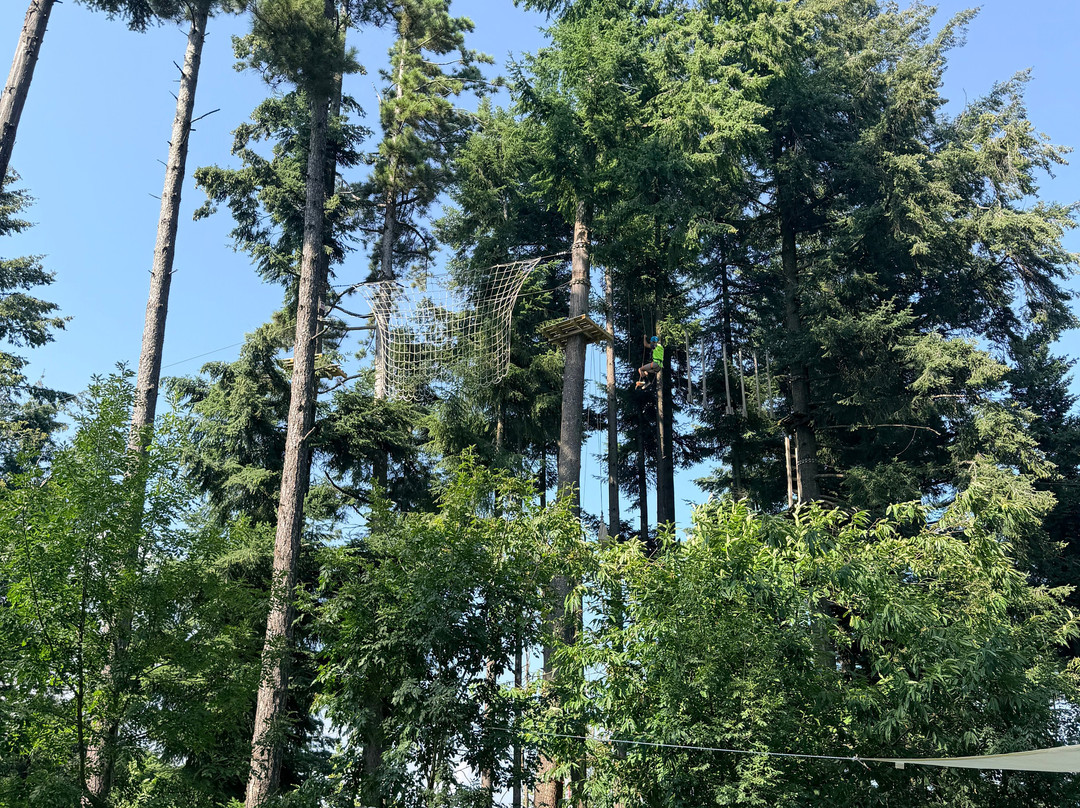 Parco Avventura Sospeso nel Verde-Villa Basilica必去景点