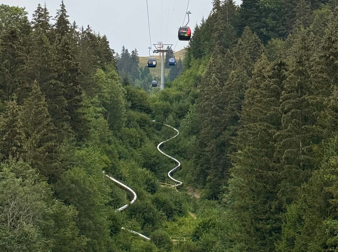 Sentier des Toboggans-Charmey必去景点