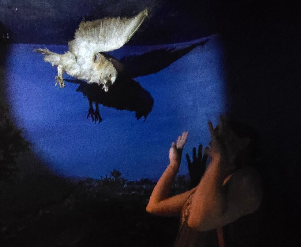 The Natural History Museum of Crete-伊拉克利翁必去景点