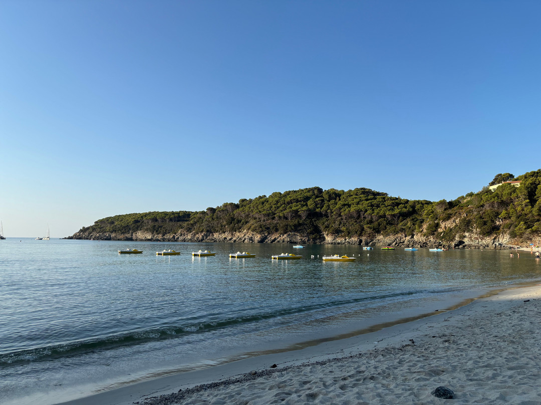 Spiaggia di Fetovaia-Campo nell'Elba必去景点