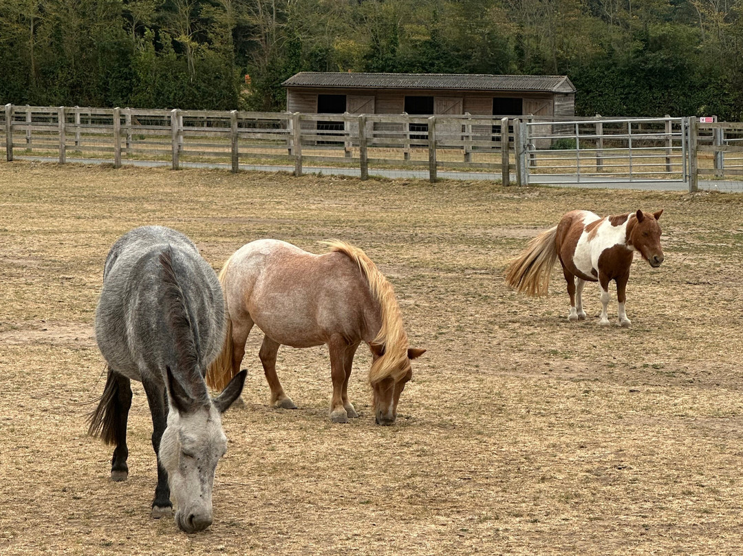 怀特岛毛驴之家-文特诺必去景点