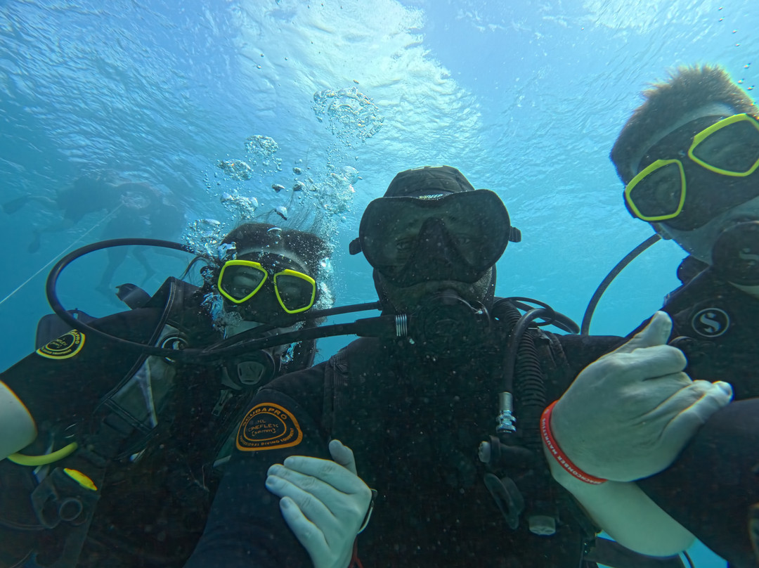 Octopus Diving Centre-Pereybere必去景点