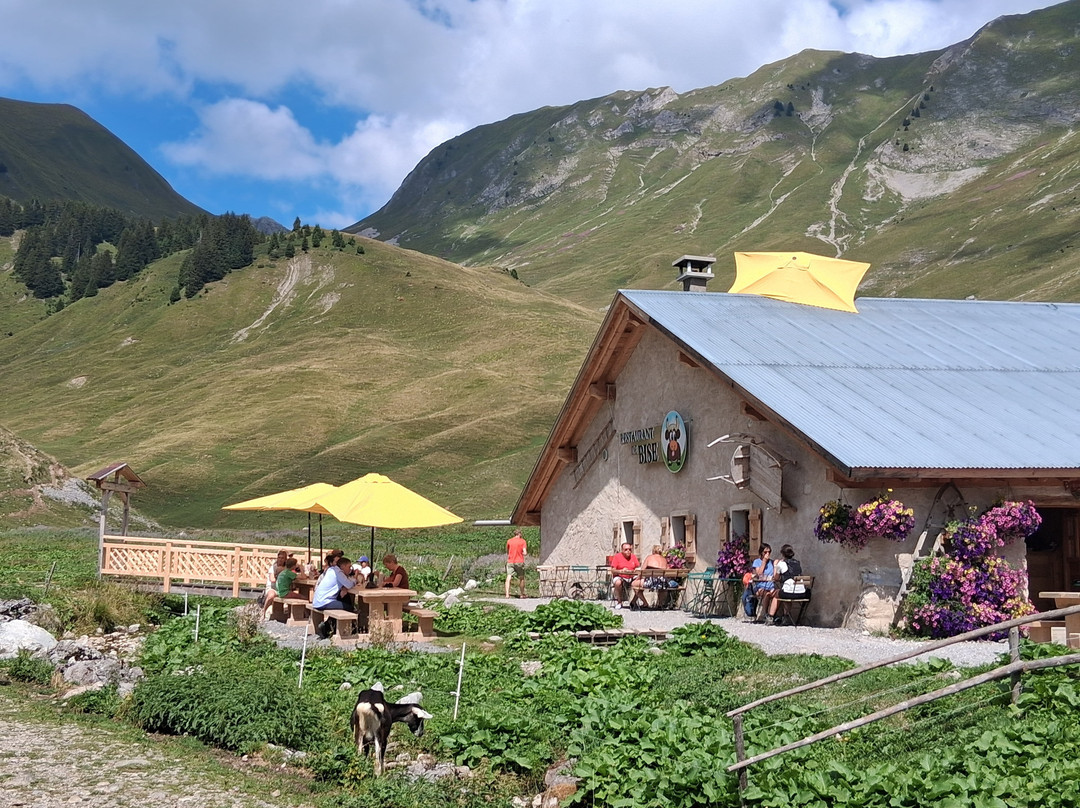Refuge De Bise