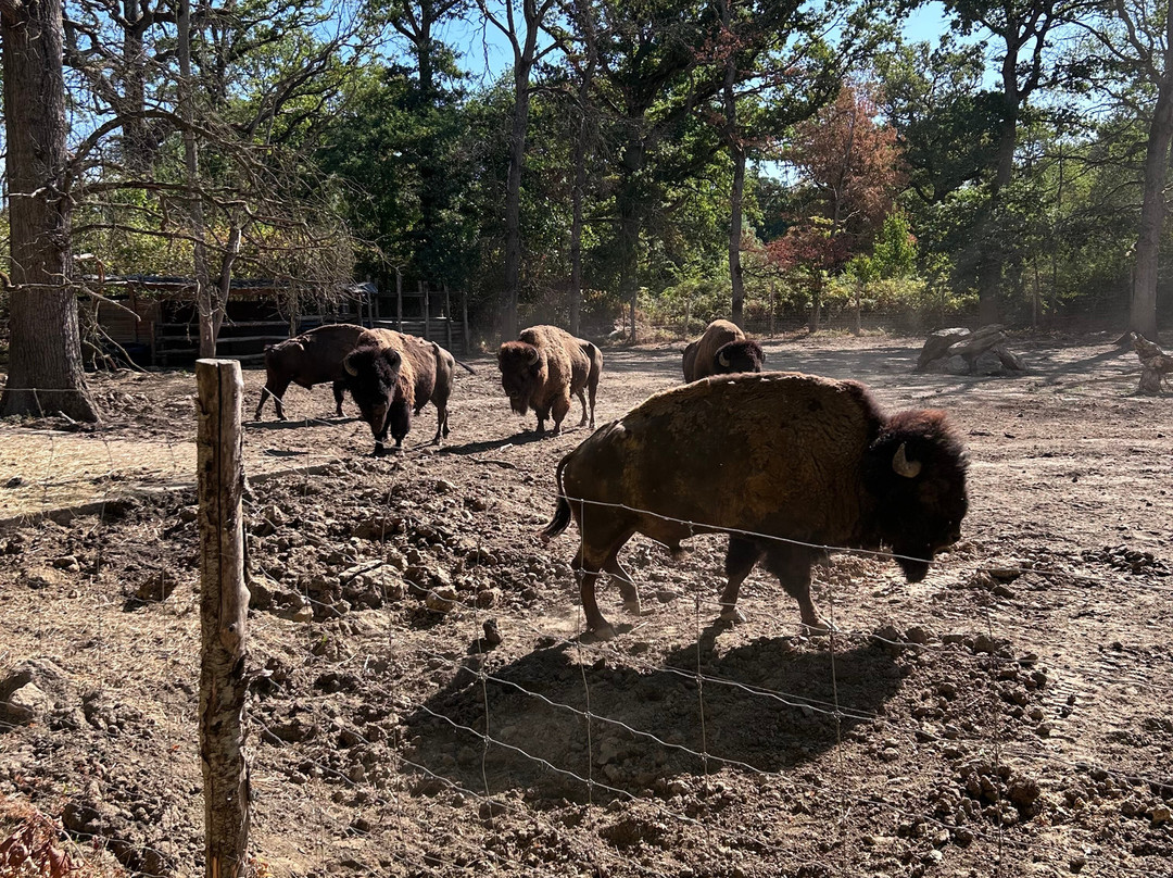 Zoo du Bois d'Attilly-Ferolles-Attilly必去景点