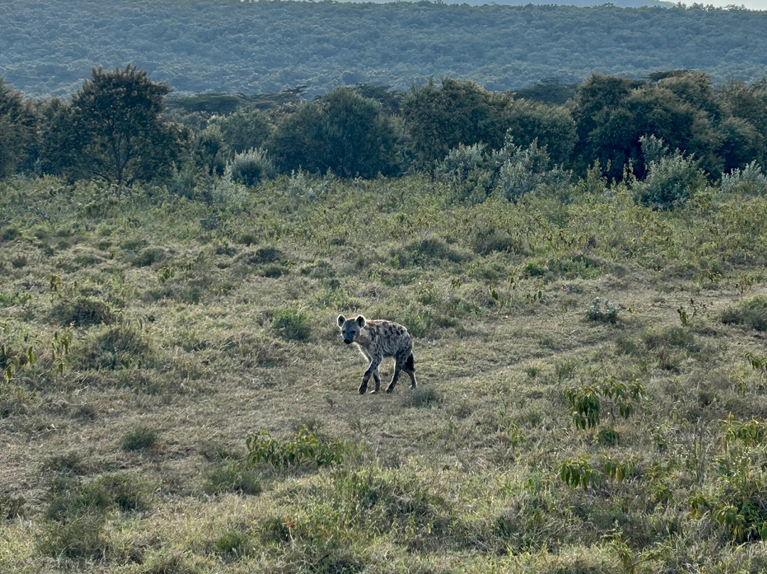 Oserengoni Wildlife Sanctuary