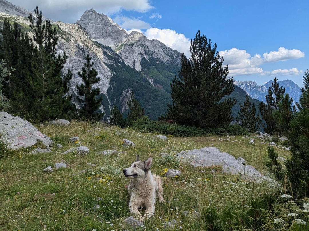 Summit Balkans-Mitrovica必去景点