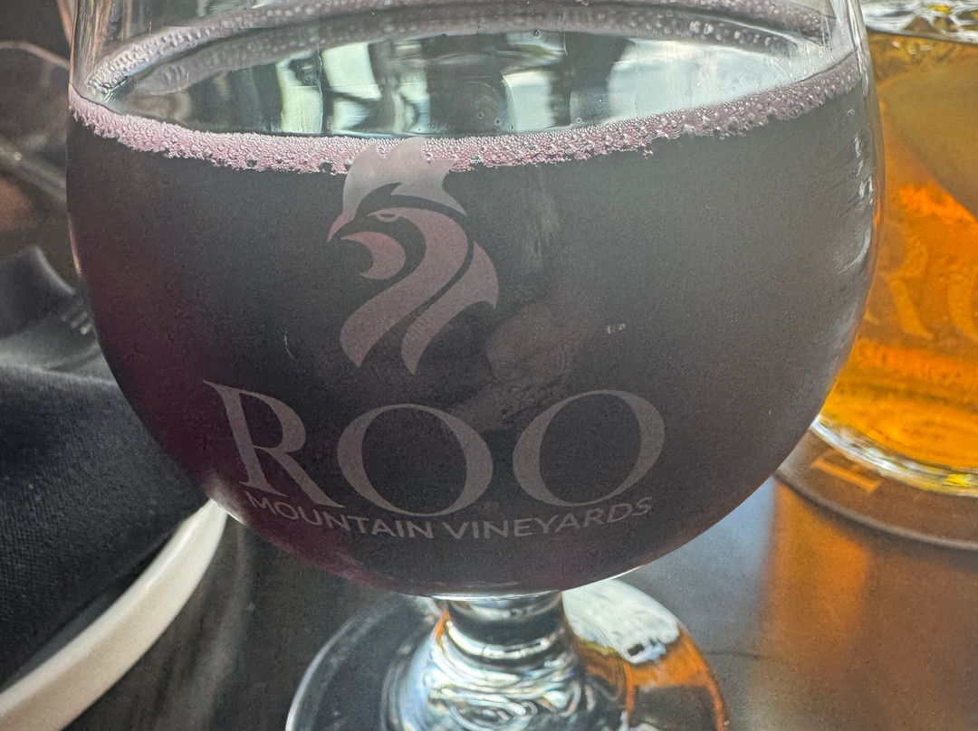 Roo Mountain Vineyards and Bistro 21+-Ellijay必去景点