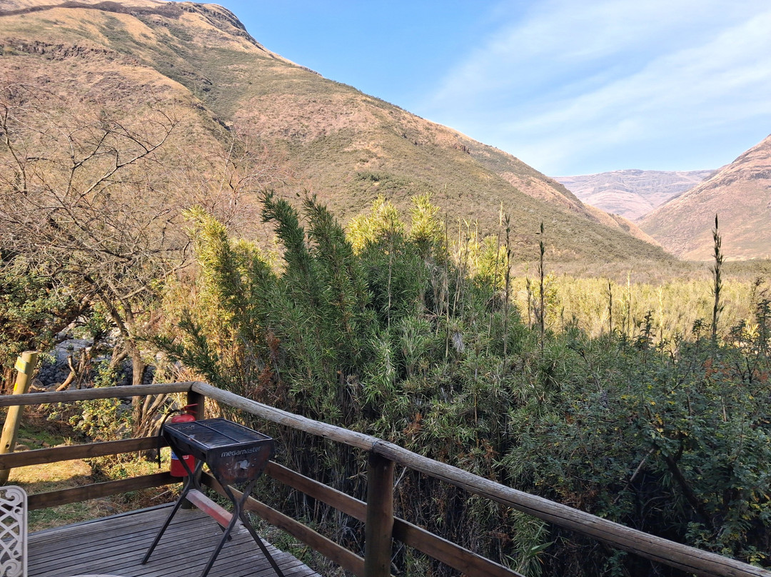 马利巴河山林小屋主图