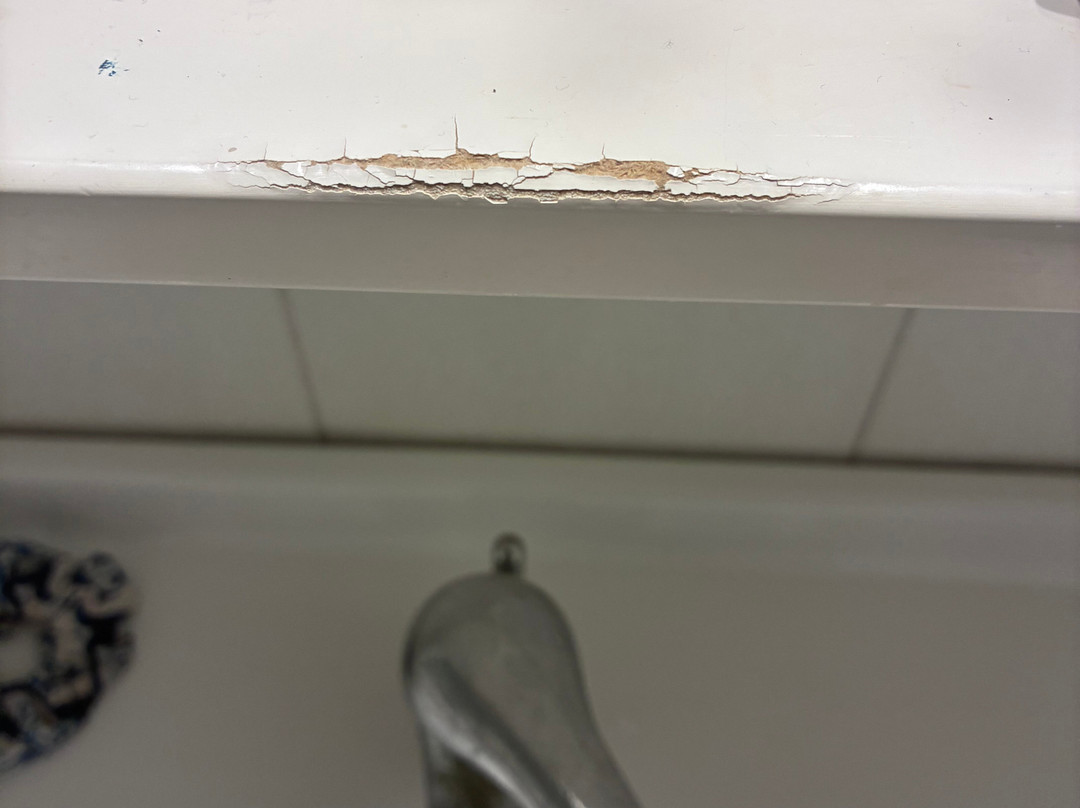 蓬塔利科萨酒店主图