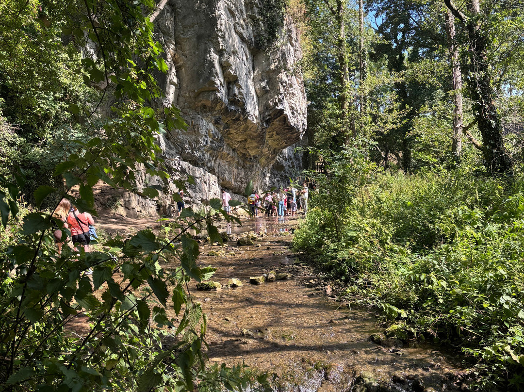 Dyserth Waterfall-Dyserth必去景点