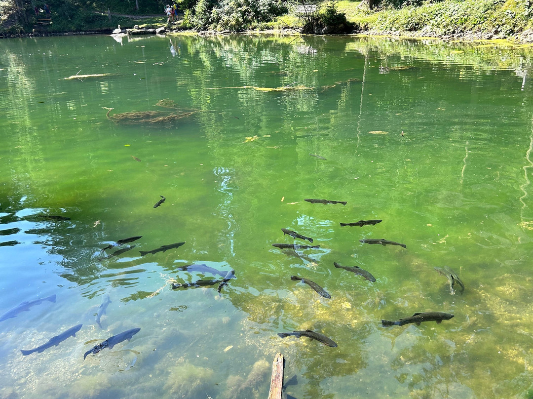 Sompunt Lake-La Villa必去景点