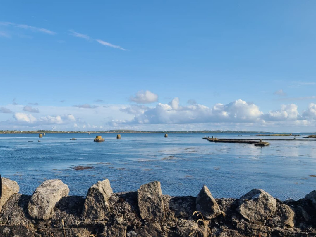 The Seaweed Centre-Lettermullan必去景点