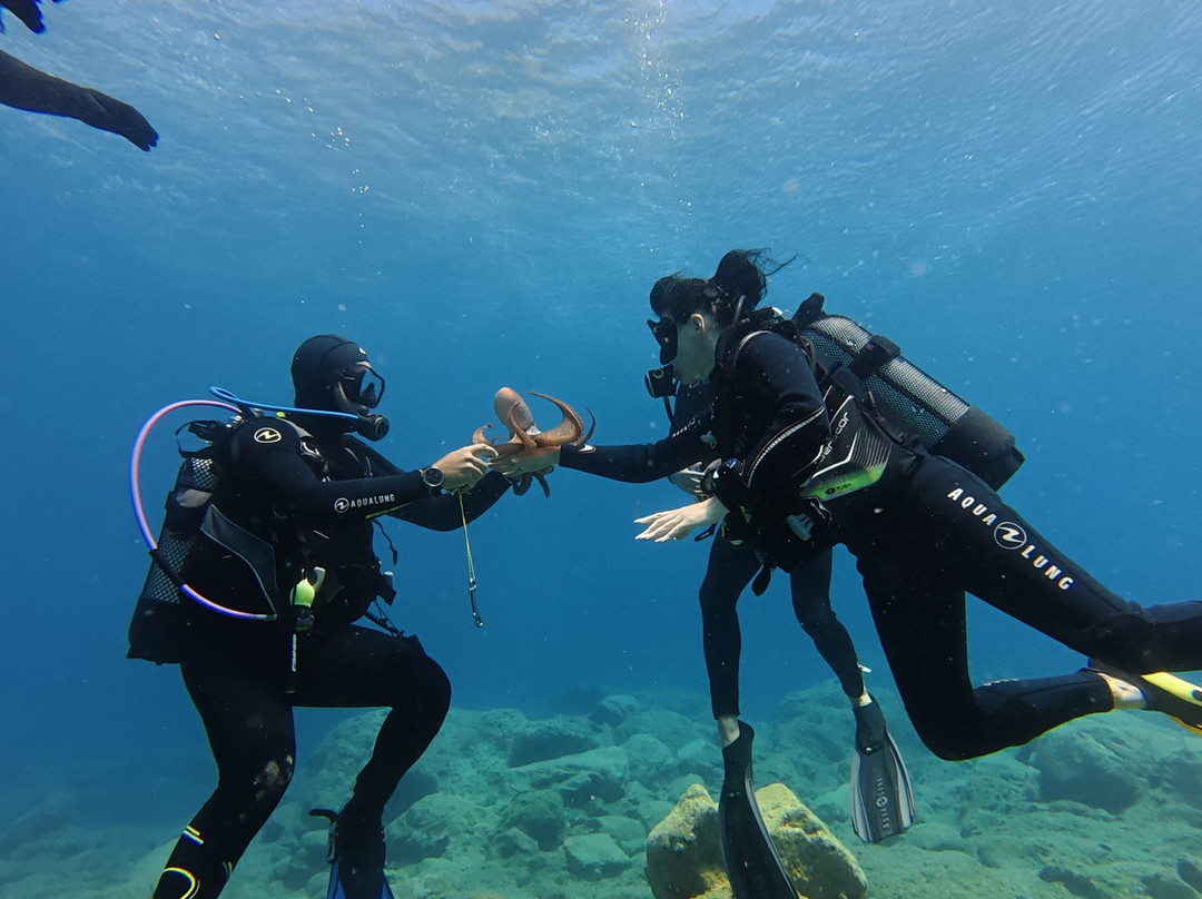 Dolphin Diving Center-雷斯蒙必去景点